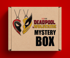 Foo Fighters Mystery Box – Version vom 22. Dezember – Offizielle Lizenzprodukte