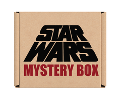 Foo Fighters Mystery Box – Version vom 22. Dezember – Offizielle Lizenzprodukte