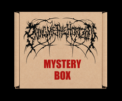 Foo Fighters Mystery Box - Version du 22 décembre - Produits sous licence officielle