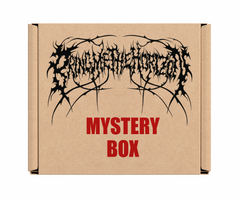 Foo Fighters Mystery Box – Version vom 22. Dezember – Offizielle Lizenzprodukte