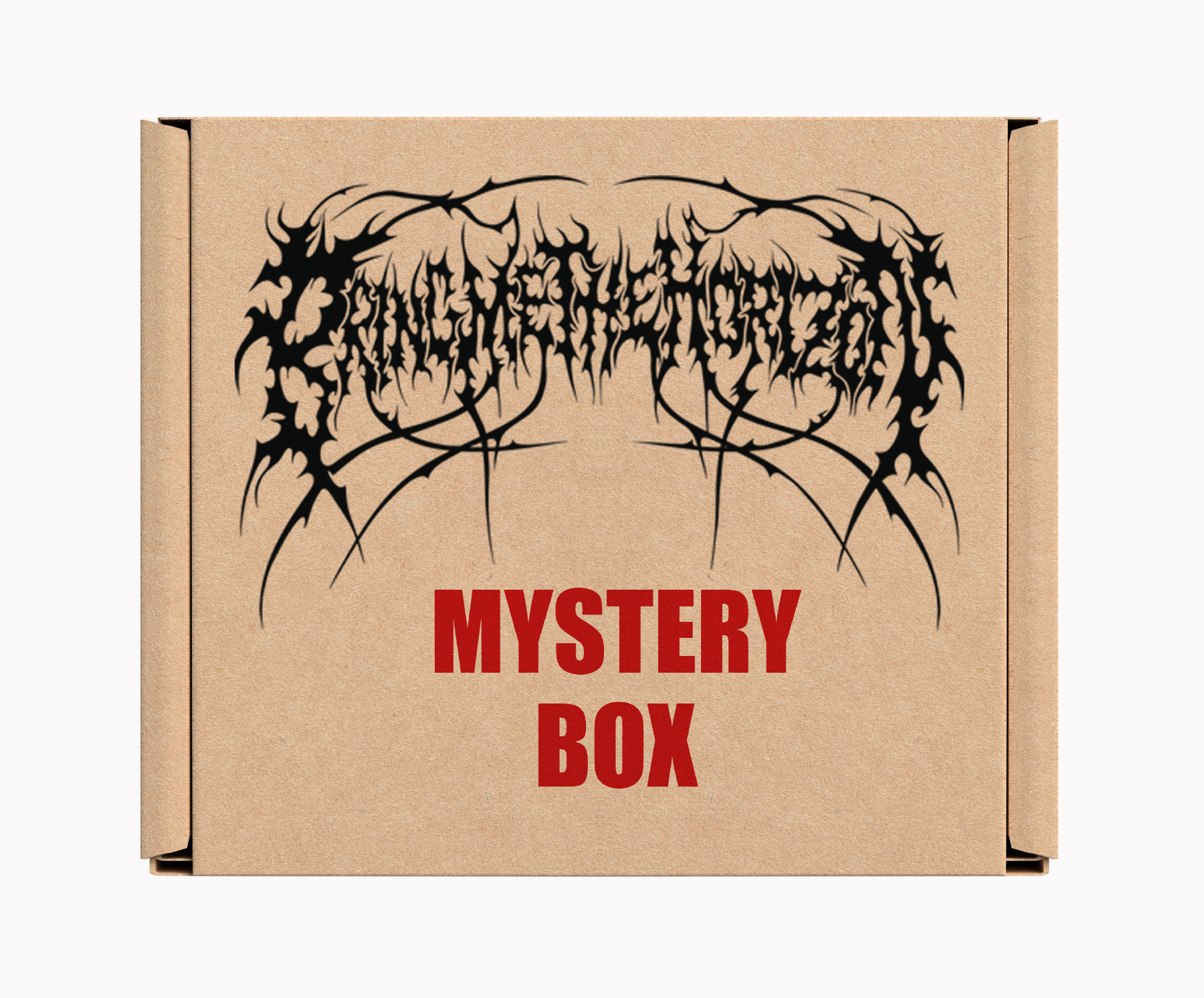 Foo Fighters Mystery Box - Version du 22 décembre - Produits sous licence officielle