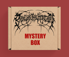 Foo Fighters Mystery Box - Version du 22 décembre - Produits sous licence officielle